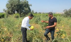 “Ben üretiyorum ama aracılar para kazanıyor"