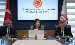 Vatandaş çalışma hayatı ve adalet hizmetlerini şikayet etti