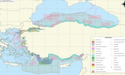 Türkiye'nin ulusal Deniz Planlama Haritasına yeni "Deniz Koruma Alanları" eklendi