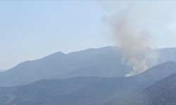Muğla'da ormanlık alanda yangın çıktı