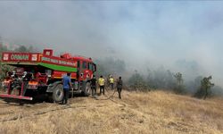 Şırnak'ta orman ve örtü yangını kontrol altına alındı