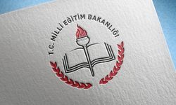 MEB: 21 özel okulun ruhsatı iptal edildi