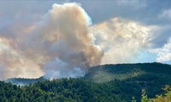 Karabük'te ormanlık alanda yeniden yangın çıktı