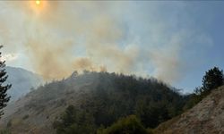 Karabük ve Denizli'de çıkan orman yangınlarına müdahale ediliyor