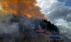 Bolu'da ormanlık alanda çıkan yangına müdahale ediliyor