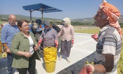 CHP’li Biçer Karaca: Üzüm üreticisi perişan