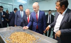 YÖK: Yeni açılan istihdam odaklı programların tümü doldu