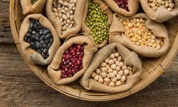 “Foodist İstanbul”, Dünyanın İlk 3’üne girecek