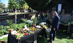Pursaklar’da doğallığın adı: Yerli tohum hasadı