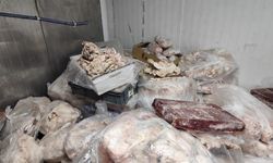 Ankara’da 11 bin 250 kilo kaçak et ve tavuk ürünü ele geçirildi