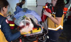 Annesi, kardeşi ve komşusunu tabancayla vurup, intihara kalkıştı