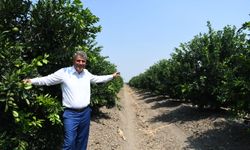 CHP’li Barut: Tarımsal destekler revize edilmeli