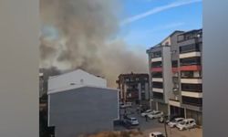 Bursa’da çamlık yangını; yerleşim yerlerine sıçramadan söndürüldü