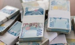 Dijital Türk Lirası Projesinin ekosistemine katılım çağrısı