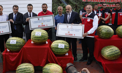 Kuraklığın vurduğu Diyarbakır karpuzunda birincilik 39 kiloda kaldı