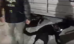 Bulaşık makinesinde 53 bin uyuşturucu hap ele geçirildi