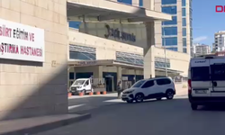 Ceviz toplarken ağaçtan düşüp öldü