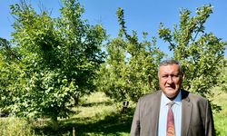 Gürer: Ziraidon nedeniyle meyve fiyatları patladı