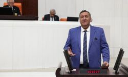 Gürer: Peynirde fiyat artışı sahtesini de artırdı