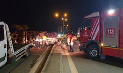 Aydınlatma direğine çarpan kamyonet devrildi: 2 yaralı