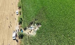 Eğitim uçağı mısır tarlasına düştü; öğrenci pilot Berfu hayatını kaybetti