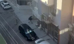 İzmir’deki polis merkezi saldırısıyla bağlantılı şüpheli Esenyurt'ta yakalandı