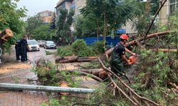Kocaeli’de sağanak sırasında devrilen ağaç yolu kapattı