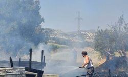 Manisa'da ahırda çıkan yangında 21 koyun öldü