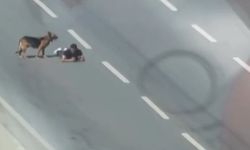 Samsun’da bir kişi, ana yolun sağ şeridinde sürünerek ilerledi