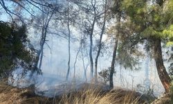 Manavgat'ta tarım arazisinde başlayan yangın ormanlık alana sıçradı