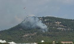 Antalya'da çıkan orman yangını kontrol altına alındı