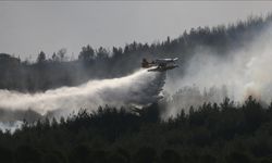 Çanakkale'de orman yangınlarının önüne geçmek için çeşitli kararlar alındı