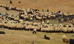 Havanın soğumasıyla yaylacıların dönüş yolculuğu başladı