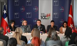 Ankara'da "Kriz dönemlerinde kadınları ve çocukları korumak" konulu panel düzenlendi