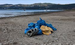 Sapanca Gölü çevresinden 2 ton atık toplandı
