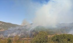 Burdur'da ormanlık alanda çıkan yangına müdahale ediliyor