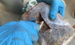 Yolcu otobüsünde dış yüzeyi ‘pul biber’ ile kaplı 7 kilo eroin ele geçirildi