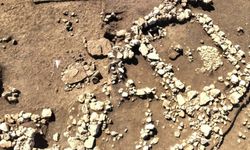 12 bin yıllık Çayönü Tepesi'nde 8 mezar gün yüzüne çıkarıldı