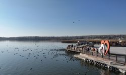 Mogan'da 2. Etap temizlik çalışmalarına başlandı