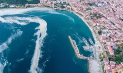 Marmara'ya kıyısı olan illerde, balıkçılara ilave destek verilecek