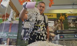 Ankara'da "Erzurum Cağ Kebabı ve Çeçil Peyniri Festivali" başladı