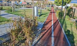 Beypazarı'da iki doktorun ismi parklara verildi