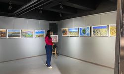 Ankara’da ‘Nallıhan Kuş Cenneti Foto Safari’ sergisi açıldı