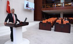 CHP’li Ayhan Barut’tan erken seçim çağrısı