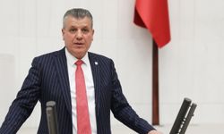 CHP’li Ayhan Barut: Doğal alan ve milli parklara göz diktiler