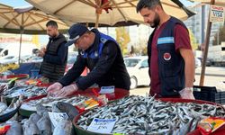 Balık tezgâhlarına Sincan Belediyesi zabıta ekiplerinden sıkı denetim