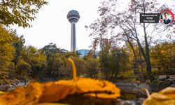 Botanik Park sonbahar renklerine büründü