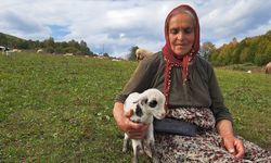 Eşini kaybettikten sonra oğluyla birlikte çobanlık yapıyor