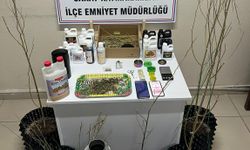 Evlerine kurdukları sistemle kenevir yetiştirip uyuşturucu üreten 5 şüpheli gözaltında