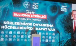 Türkökle 7 bin 500 hastaya kök hücre sağlandı